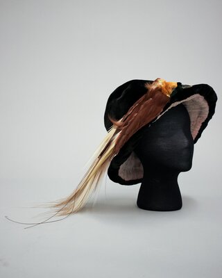 Hat, black velvet with Greater Bird-of-Paradise (Paradisaea apoda)